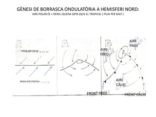 GÈNESI DE BORRASCA ONDULATÒRIA A HEMISFERI NORD:
            AIRE POLAR ÉS + DENS ( QUEDA SOTA )QUE EL TROPICAL ( PUJA PER DALT )




                                                                                     AIRE
                                                                                     FRED
  MASSA AIRE POLAR                                            AIRE
                                                              FRED




 MASSA AIRE TROPICAL                                                      AIRE
                                                                          CÀLID

                                                    FRONT FRED                     FRONT CÀLID
 