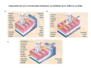 ESQUEMES DE LES 3 SITUACIONS POSSIBLES: A) NORMAL B) EL NIÑO C) LA NIÑA

A)                                            B)




     C)
 