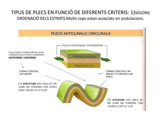 TIPUS DE PLECS EN FUNCIÓ DE DIFERENTS CRITERIS: 1)SEGONS
        ORDENACIÓ DELS ESTRATS:Molts cops estan associats en ondulacions.




SI SOLS TENEN LA FORMA PERÒ NO ES SAP
L’ORDENACIÓ DELS ESTRATS S’ANOMENEN:
ANTIFORME I SINFORME




           FORMA CONVEXA                             FORMA CÒNCAVA CAP
           CAP AMUNT                                 AMUNT O CONVEXA CAP
                                                     AVALL
 