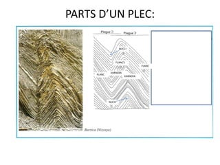 PARTS D’UN PLEC:

                     NUCLI




                 FLANCS
                                  FLANC
                                          PART
              XARNERA
     FLANC
                        XARNERA




             NUCLI
 
