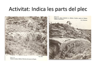 Activitat: Indica les parts del plec
 