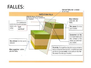 FALLES:                                                  Salt de falla net o total :
                                                         és el real.


                       LÍNIA DE FALLA, INTERSECCIÓ
                       ENTRE PLA DE FALLA I SUPERFÍCIE
                       DEL TERRENY                                 Bloc inferior:
                                                                   sota pla de
                                                                   falla.

           Salt
           vertical




Bloc superior: sobre
pla de falla.
 