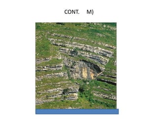 CONT.   M)
 