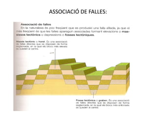 ASSOCIACIÓ DE FALLES:
 