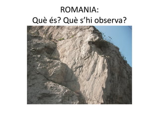 ROMANIA:
Què és? Què s’hi observa?
 