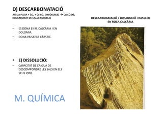 D) DESCARBONATACIÓ
AIGUA PLUJA + CO2 + Ca CO3 (INSOLUBLE)  Ca(CO3H)2
(BICARBONAT DE CALCI: SOLUBLE)                       DESCARBONATACIÓ + DISSOLUCIÓ =RASCLER
                                                              EN ROCA CALCÀRIA

•   ES DONA EN R. CALCÀRIA I EN
    DOLOMIA.
•   DONA PAISATGE CÀRSTIC.




• E) DISSOLUCIÓ:
•   CAPACITAT DE L’AIGUA DE
    DESCOMPONDRE LES SALS EN ELS
    SEUS IONS.




    M. QUÍMICA
 