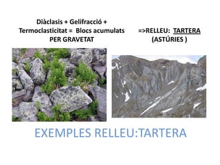 Diàclasis + Gelifracció +
Termoclasticitat = Blocs acumulats   =>RELLEU: TARTERA
         PER GRAVETAT                    (ASTÚRIES )




    EXEMPLES RELLEU:TARTERA
 