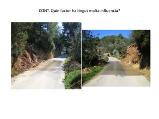 CONT. Quin factor ha tingut molta influencia?
 