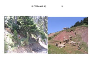 10) CERDANYA: A)   B)
 