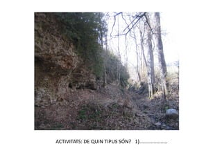 ACTIVITATS: DE QUIN TIPUS SÓN? 1)....................
 