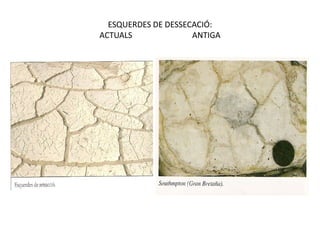 ESQUERDES DE DESSECACIÓ:
ACTUALS              ANTIGA
 