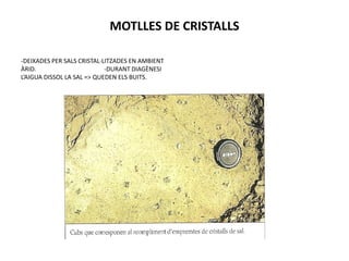 MOTLLES DE CRISTALLS

-DEIXADES PER SALS CRISTAL·LITZADES EN AMBIENT
ÀRID.                       -DURANT DIAGÈNESI
L’AIGUA DISSOL LA SAL => QUEDEN ELS BUITS.
 