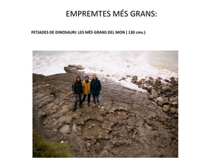 EMPREMTES MÉS GRANS:
PETJADES DE DINOSAURI: LES MÉS GRANS DEL MON ( 130 cms.)
 