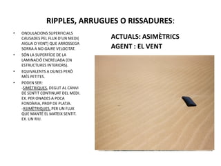 RIPPLES, ARRUGUES O RISSADURES:
•   ONDULACIONS SUPERFICIALS
    CAUSADES PEL FLUX D’UN MEDI(    ACTUALS: ASIMÈTRICS
    AIGUA O VENT) QUE ARROSSEGA
    SORRA A NO GAIRE VELOCITAT.     AGENT : EL VENT
•   SÓN LA SUPERFÍCIE DE LA
    LAMINACIÓ ENCREUADA (EN
    ESTRUCTURES INTERIORS).
•   EQUIVALENTS A DUNES PERÒ
    MÉS PETITES.
•   PODEN SER:
    -SIMÈTRIQUES, DEGUT AL CANVI
    DE SENTIT CONTINUAT DEL MEDI.
    EX. PER ONADES A POCA
    FONDÀRIA, PROP DE PLATJA.
    -ASIMÈTRIQUES, PER UN FLUX
    QUE MANTÉ EL MATEIX SENTIT.
    EX. UN RIU.
 