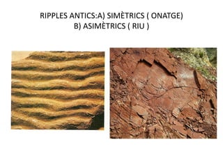 RIPPLES ANTICS:A) SIMÈTRICS ( ONATGE)
         B) ASIMÈTRICS ( RIU )
 
