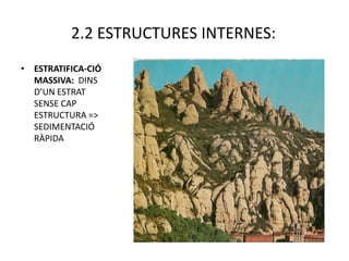 2.2 ESTRUCTURES INTERNES:
• ESTRATIFICA-CIÓ
  MASSIVA: DINS
  D’UN ESTRAT
  SENSE CAP
  ESTRUCTURA =>
  SEDIMENTACIÓ
  RÀPIDA
 