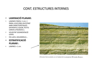 CONT. ESTRUCTURES INTERNES

• LAMINACIÓ PLANAR:
•   LAMINES FINES(< 1 cm.) I
    PARAL·LELES DINS UN ESTRAT
    AMB CARACTERÍSTIQUES
    DIFERENTS ( COLOR, PETITS
    CANVIS LITOLÒGICS ).
•   VELOCITAT SEDIMENTACIÓ
    LENTA.
•   EN LLACS, AIGUAMOLLS...
• ESTRATIFICACIÓ
  PLANAR :
•   LAMINES > 1 cm.
 