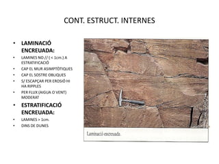 CONT. ESTRUCT. INTERNES

• LAMINACIÓ
  ENCREUADA:
•   LAMINES NO // ( < 1cm.) A
    ESTRATIFICACIÓ
•   CAP EL MUR ASIMPTÒTIQUES
•   CAP EL SOSTRE OBLIQUES
•   S/ ESCAPÇAR PER EROSIÓ HI
    HA RIPPLES
•   PER FLUX (AIGUA O VENT)
    MODERAT
• ESTRATIFICACIÓ
  ENCREUADA:
•   LAMINES > 1cm.
•   DINS DE DUNES
 