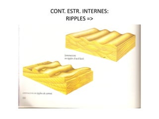 CONT. ESTR. INTERNES:
     RIPPLES =>
 