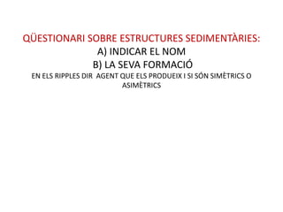 QÜESTIONARI SOBRE ESTRUCTURES SEDIMENTÀRIES:
              A) INDICAR EL NOM
             B) LA SEVA FORMACIÓ
 EN ELS RIPPLES DIR AGENT QUE ELS PRODUEIX I SI SÓN SIMÈTRICS O
                          ASIMÈTRICS
 