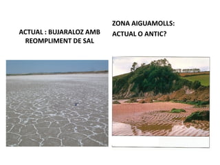 ZONA AIGUAMOLLS:
ACTUAL : BUJARALOZ AMB   ACTUAL O ANTIC?
 REOMPLIMENT DE SAL
 