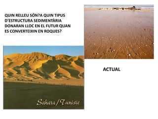 QUIN RELLEU SÓN?A QUIN TIPUS
D’ESTRUCTURA SEDIMENTÀRIA
DONARAN LLOC EN EL FUTUR QUAN
ES CONVERTEIXIN EN ROQUES?




                                ACTUAL
 