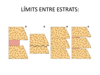 LÍMITS ENTRE ESTRATS:
 