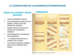 2.1 ESTRUCTURES DE LA SUPERFÍCIE D’ESTRATIFICACIÓ

MARCA DE CORRENT I BASES            FORMACIÓ:
       EROSIVES
•   CAUSA: MOVIMENT D’AIGUA
•   PER ARROSSEGAR PEDRES PETITES
    SOBRE EL FONS O SOLS PER
    EROSIÓ DEL CORRENT
•   DEIXEN ESTRIES O SOLCS EN EL
    SOSTRE PER L’EROSIÓ DEL
    CORRENT
•   POSTERIORMENT ES REOMPLEN
    DELS SEDIMENTS
•   => INDIQUEN DIRECCIÓ DE LA
    CORRENT EN EL PASSAT
•   DE VEGADES INDIQUEN TAMBÉ EL
    SENTIT DE LA CORRENT EN EL
    PASSAT
 