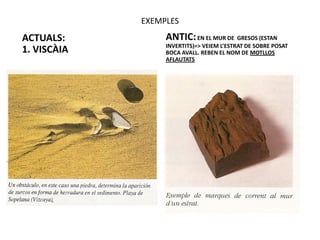 EXEMPLES
ACTUALS:          ANTIC: EN EL MUR DE GRESOS (ESTAN
                  INVERTITS)=> VEIEM L’ESTRAT DE SOBRE POSAT
1. VISCÀIA        BOCA AVALL. REBEN EL NOM DE MOTLLOS
                  AFLAUTATS
 