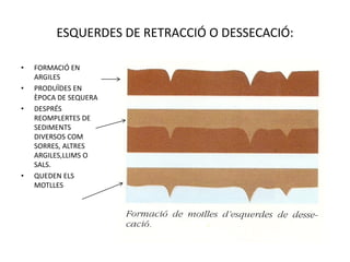 ESQUERDES DE RETRACCIÓ O DESSECACIÓ:

•   FORMACIÓ EN
    ARGILES
•   PRODUÏDES EN
    ÈPOCA DE SEQUERA
•   DESPRÉS
    REOMPLERTES DE
    SEDIMENTS
    DIVERSOS COM
    SORRES, ALTRES
    ARGILES,LLIMS O
    SALS.
•   QUEDEN ELS
    MOTLLES
 