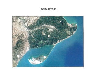 DELTA D’EBRE:
 