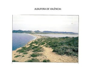 ALBUFERA DE VALÈNCIA:
 