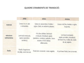 QUADRE D’AMBIENTS DE TRANSICIÓ:
 