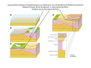 Successió dels ambients al llarg del temps en un mateix punt: a) a. De plataforma b) Plataforma proximal i
                    albufera c) Fluvial d) Con de dejecció. => canvi vertical de fàcies.
                                  També es veu el canvi lateral de fàcies.
 