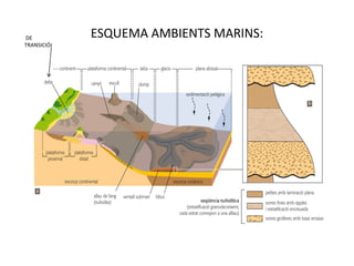 DE           ESQUEMA AMBIENTS MARINS:
TRANSICIÓ:
 