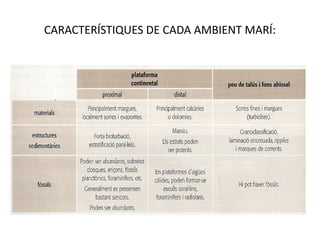 CARACTERÍSTIQUES DE CADA AMBIENT MARÍ:
 