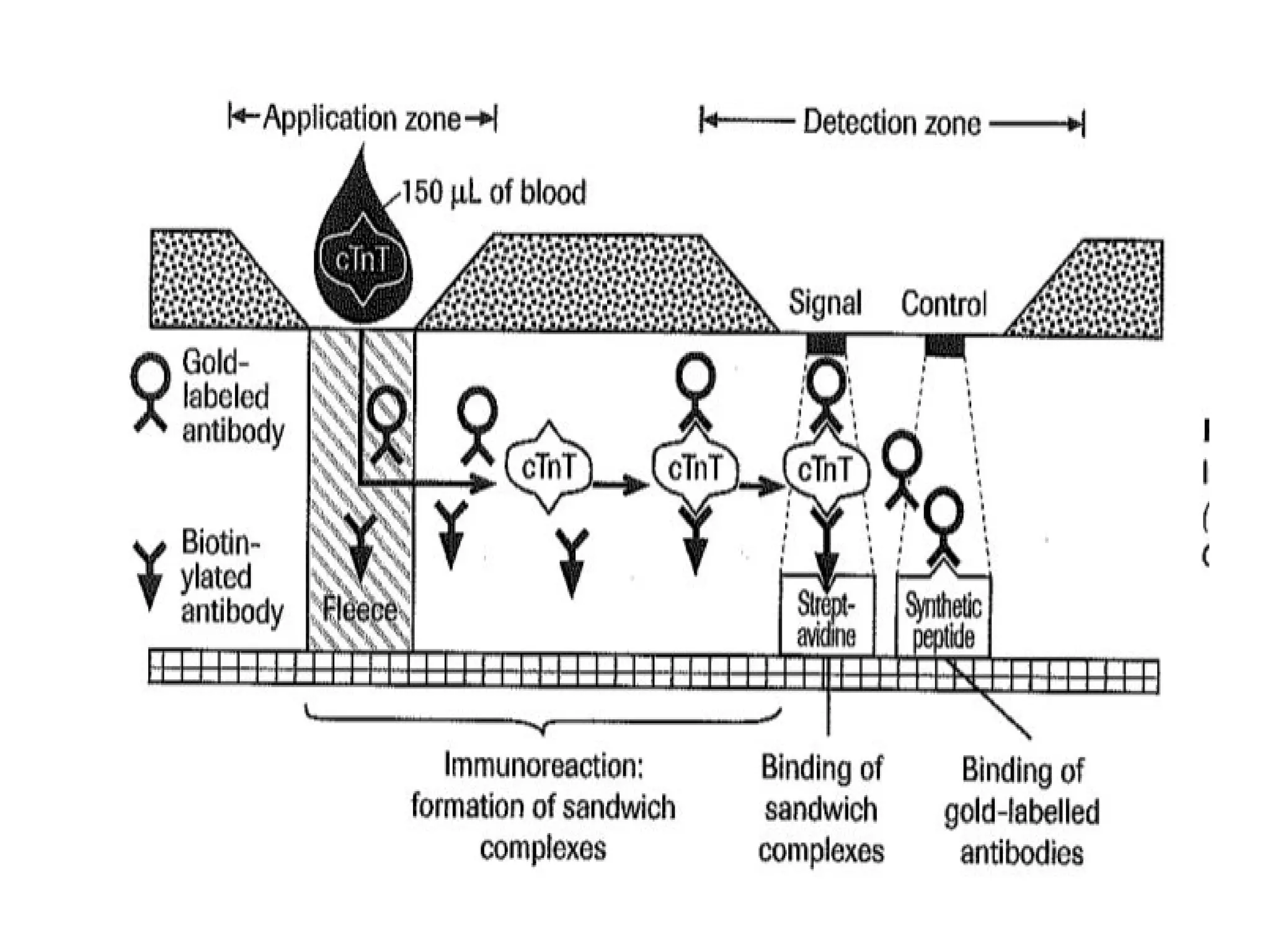 Point of care testing | PPT