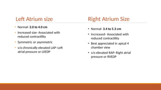 Normal Atrium Area Size Point of care ultrasound and 2D echocardiography | PPTX
