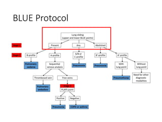 BLUE Protocol
 