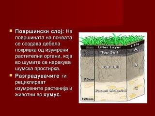 Pocva | PPT