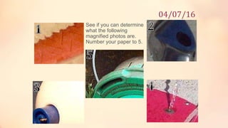 See if you can determine
what the following
magnified photos are.
Number your paper to 5.
04/07/16
 