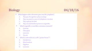 Biology 04/18/16
• What happens after ribosomes pass into the cytoplasm?
A. Theypassthroughthenuclearenvelope
B. Theymayattachtoareasof endoplasmicreticulum
C. Theyreplicate theDNA
D. Theysortanddistributeproteinstoorganelles
• Which organelle is most like a miniature stomach?
A. Centriole
B. Chloroplast
C. Lysosome
D. Vacuole
• Which is referred to as a cell’s “power-house”?
A. Cytoskeleton
B. Mitochondrion
C. Flagellum
D. Lysosome
 