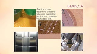 See if you can
determine what the
following magnified
photos are. Number
your paper to 5.
04/05/16
 