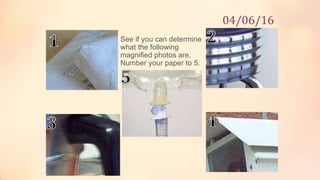 See if you can determine
what the following
magnified photos are.
Number your paper to 5.
04/06/16
 