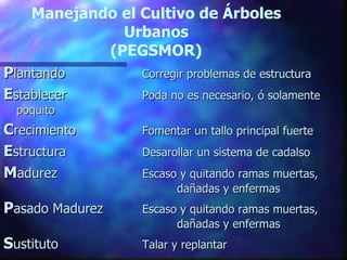 Manejando el Cultivo de Árboles Urbanos (PEGSMOR) P lantando Corregir problemas de estructura E stablecer Poda no es necesario, ó solamente poquito C recimiento Fomentar un tallo principal fuerte E structura Desarollar un sistema de cadalso M adurez Escaso y quitando ramas muertas,  dañadas y enfermas P asado Madurez Escaso y quitando ramas muertas,  dañadas y enfermas S ustituto Talar y replantar 