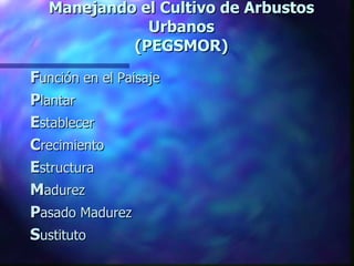 Manejando el Cultivo de Arbustos Urbanos (PEGSMOR) F unción en el Paisaje  P lantar E stablecer C recimiento E structura M adurez P asado Madurez S ustituto 