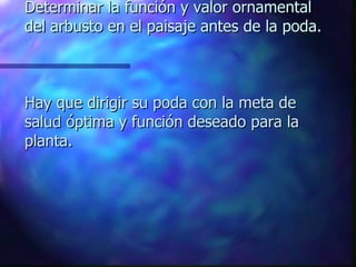 Determinar la función y valor ornamental del arbusto en el paisaje antes de la poda. Hay que dirigir su poda con la meta de salud óptima y función deseado para la planta. 