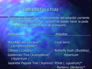 Poda para Flor y Fruta   Plantas que florecen en el crecimiento del estación corriente (típicamente florecen en verano) se puede hacer la poda en invierno ó en principios de primavera. Árboles  Arbustos    Mountain Ash ( Sorbus)*    Coral berry ( Symphoricarpos)* Catalpa  ( Catalpa)      Butterfly bush ( Buddleia)   Goldenrain Tree ( Koelreuteria)    Hypericum ( Hypericum ) Japanese Pagoda Tree ( Sophora)   Privet (  Ligustrum)*   Barberry  (Berberis)*   * indica frutas coloradas   