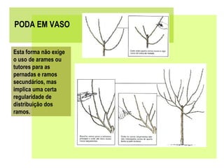 PODA EM VASO


Esta forma não exige
o uso de arames ou
tutores para as
pernadas e ramos
secundários, mas
implica uma certa
regularidade de
distribuição dos
ramos.
 