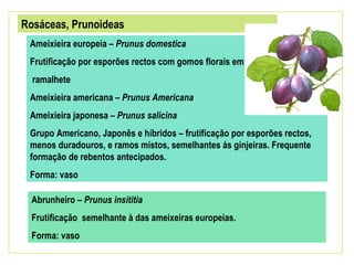 Rosáceas, Prunoideas
 Ameixieira europeia – Prunus domestica
 Frutificação por esporões rectos com gomos florais em
  ramalhete
 Ameixieira americana – Prunus Americana
 Ameixieira japonesa – Prunus salicina
 Grupo Americano, Japonês e híbridos – frutificação por esporões rectos,
 menos duradouros, e ramos mistos, semelhantes ás ginjeiras. Frequente
 formação de rebentos antecipados.
 Forma: vaso

  Abrunheiro – Prunus insititia
  Frutificação semelhante à das ameixeiras europeias.
  Forma: vaso
 